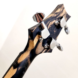 18. Electric balalaika in traditional shellac colour.