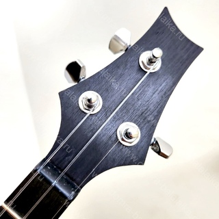 18. Electric balalaika in traditional shellac colour.