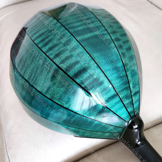33. Student pro domra in sea‑green colour.