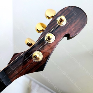 74. Electric domra in a 
