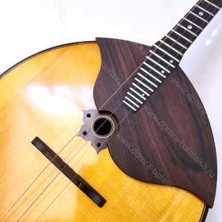 93. Professional concert domra