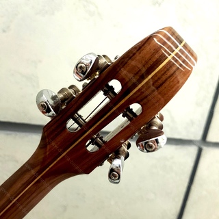109. Concert domra “Brown”