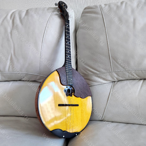 60. It’s a master‑crafted concert domra